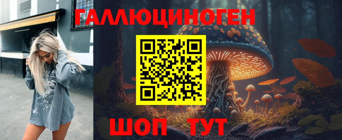 Новоалтайск  где найти   Вход с VPN  Галлюциногенные грибы Psilocybe 